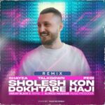 DJ Black C & Alireza Majzoub Dokhtare Haji & Sholesh Kon (Remix)